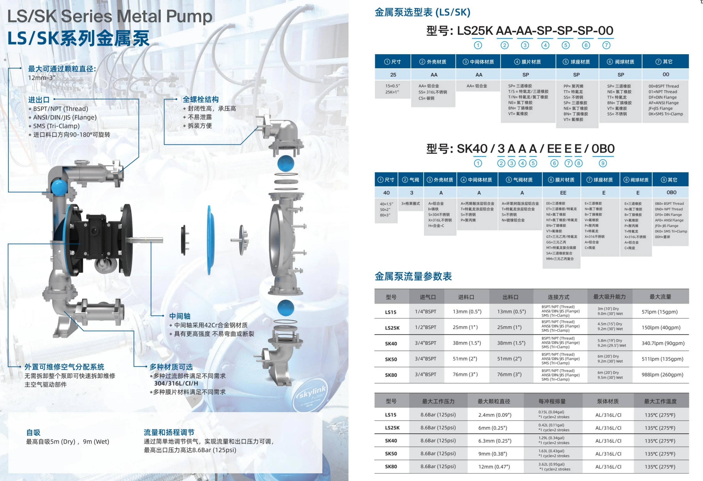 SKYLINK 金属泵型号意义(1).png SKYLINK 金属泵型号意义(1).png